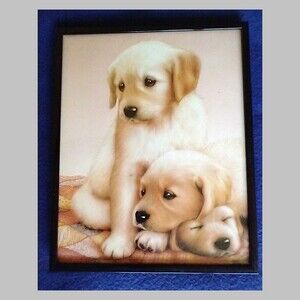 Three Puppies Framed Childrens Wall Decor 8 x 11